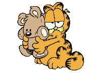 Maine Coon bavard Maine Coon bavard